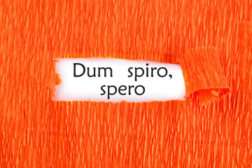 Dum Spiro Spero - latin phrase means While I Breath, I Hope. on a white sheet under an orange background - obrazy, fototapety, plakaty