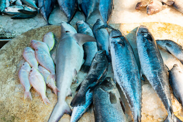 fresh fish on the market