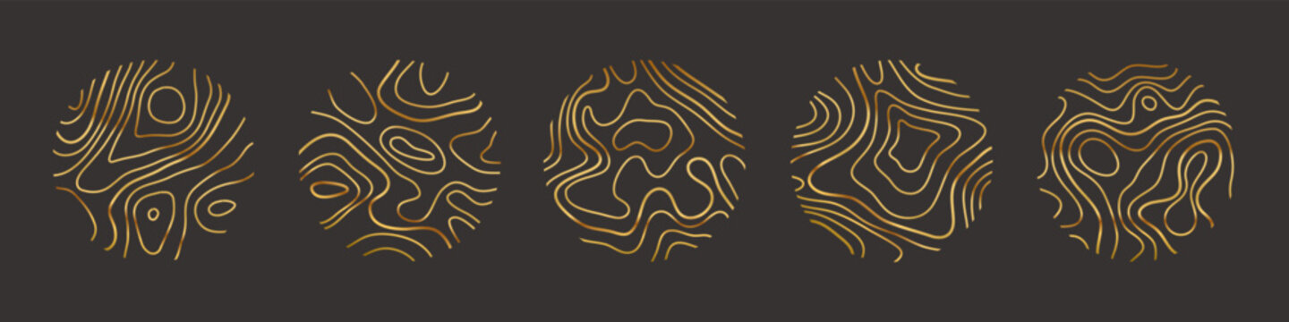 Circular wood rings or topographic map lines texture set. Wood tree topographic abstract lines collection flat style design vector illustration contour isolated pattern design.