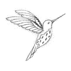 Detailed Black and White Dotwork Illustration of a Hummingbird in Flight