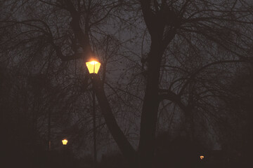 Film noir inspired photo of illuminated Victorian lamp posts in a green space in Enfield Town,...