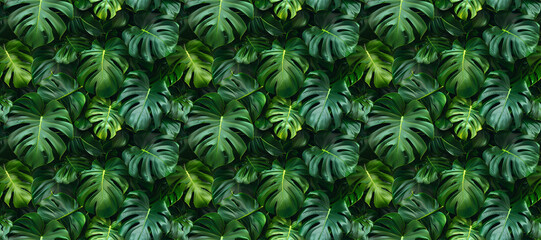 Tropical Rainforest jungle Palm leaves seamless pattern wallpaper