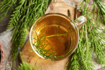 A cup of herbal tea with fresh horsetail twigs, top view. Medicinal herb.