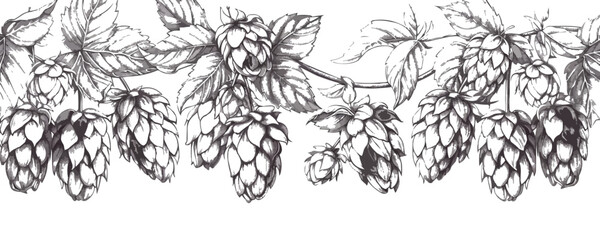 Hops herb plant for brewery of beer. Engraving vintage sketch vector. vector simple illustration