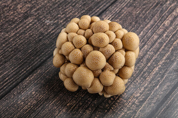 Raw asiam delicacy mushroom Shimeji