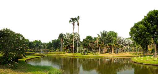Green shrubs, ornamental plants, gardens or parks. Isolated on transparent background with clipping path and alpha channel.