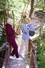 Two pretty blonde mature woman spending vacations outdoors, walking in forest with rucksack behind...