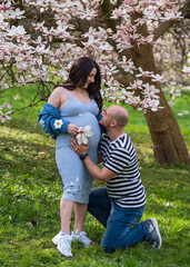 A caring man puts his ear to his pregnant wife's belly and listens to the baby's heartbeat. A couple stands near a blooming magnolia tree. Happy family expecting a baby 