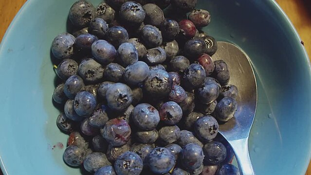 Close up of fresh organic blueberries in a blue bowl with a metal spoon. Kitchen interior. Studio shot. Indoor. Flat lighting. High quality 4k footage
