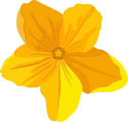 Cucumber flower 