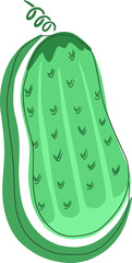 Cucumber