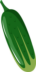 Cucumber
