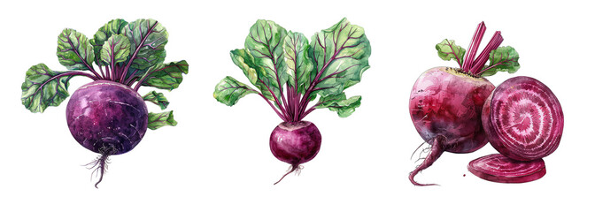 Collection of beetroot isolated on transparent background. Generated Ai