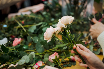 A person holds a bouquet of flowers from the Rose family