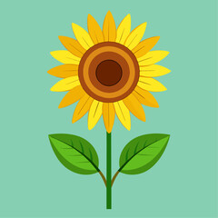 Sunflower vector art illustration (9)