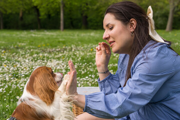 A happy pregnant woman rejoices while expecting her baby. Spends time in nature. Joyfully having fun with his dog, Cocker Spaniel, Cavalier King Charles Spaniel