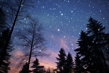 Fototapeta premium Ultimate Guide to Celestial Constellation Mapping: Expert Astrophotography Techniques