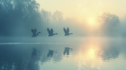 Flight begins over still lake as ducks ascend together, nature's synchrony displayed