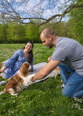 Happy pregnant couple spends time together on a picnic outdoors with a pet, dog, cocker spaniel. Waiting for a baby, love.