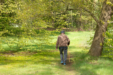 old man wearing hat walks in green park in spring near utrecht in holland