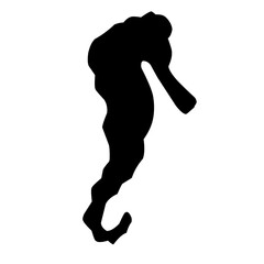 Vector Seahorse Silhouette