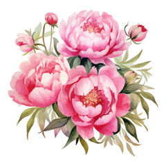 Happy mothers day illustrations watercolor pink peony flower bouquet isolated on white background digital painting