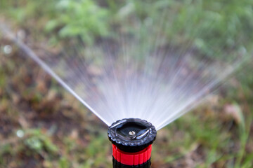 Close-up of a garden sprinkler head watering plants with fine mist