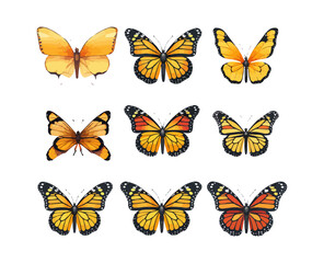 Monarch butterflies set. Vector illustration isolated on white background