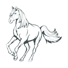Obraz na płótnie Canvas Set of horses. Hand drawn horse. Sketch of horse head. Vector artwork.