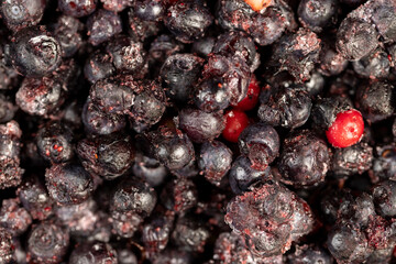large number of frozen blueberries with red unripe