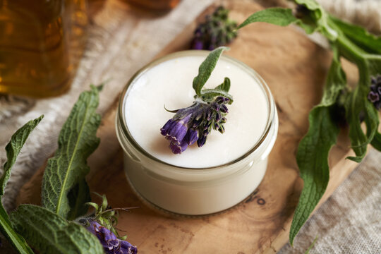 A jar of homemade comfrey ointment with fresh blooming symphytum officinale or knitbone twigs