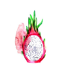 Hand drawn watercolor dragon fruit half cut illustration with artistic paint stains. Tropical exotic pitaya for food and drink background.