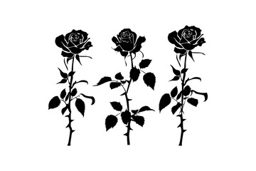 Trio of Black Rose Silhouette. Vector illustration design.