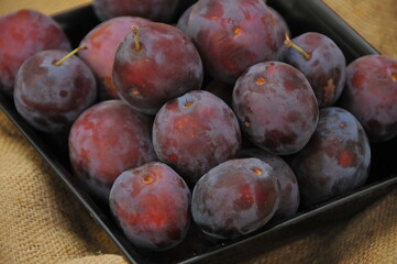 Prune rouge quetsches