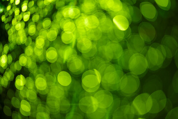 green blur background, Christmas texture