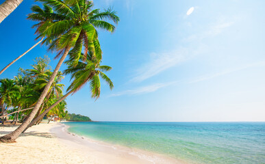 tropical beach with coconut palm - 793763856