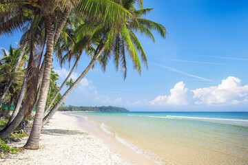 tropical beach with coconut palm - 793764215