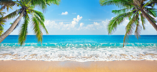 panorama of tropical beach with coconut palm trees - 793764638