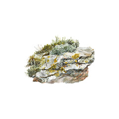 Lichen-Covered Rock Detailed Watercolor Art. Vector illustration design.