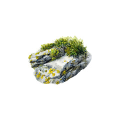 Watercolor Botanical Art of Moss and Lichen on Stone. Vector illustration design.