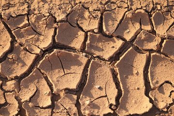 sequía suelo seco agrietado falta de agua textura desertización almería sur españa 4M0A8787-as24