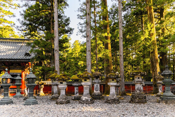 Pine forest stone and lanterns