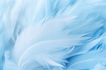 Fototapeta na wymiar airy soft fluffy wing bird with white feathers close up of macro pastel blue shades on white background abstract gentle natural background with bird feathers macro with soft focus