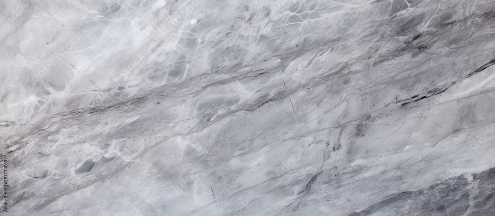 Canvas Prints Close up of a monochrome marble wall design