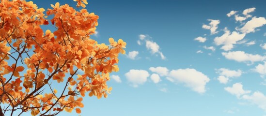 Yellow leaves on a tree under a blue sky