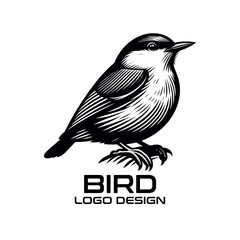 Obraz premium Bird Vector Logo Design