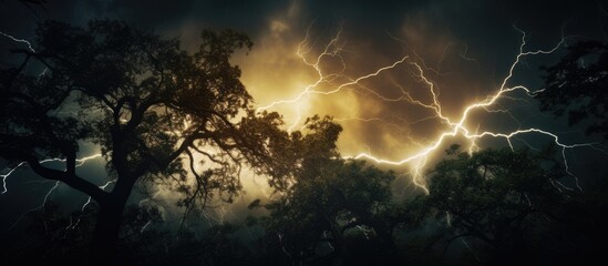 A dramatic lightning storm over trees and dark sky