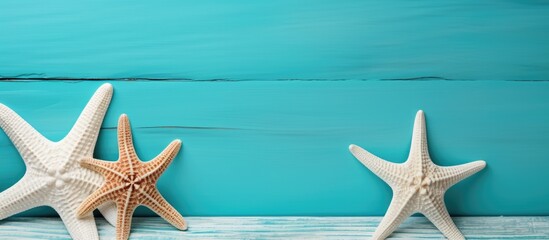 Two starfish sit blue wood table