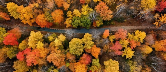 Colorful autumn road view