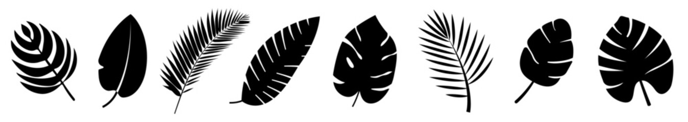 Set of black silhouettes of tropical leaves